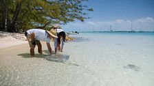 P97 - Bahamas