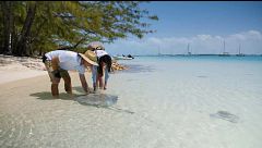 P97 - Bahamas