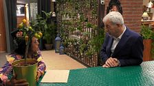 P2391 - Amor vegetal