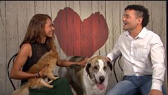 P2391 - Dog dates: amor a cuatro patas