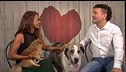 P2399 - Dog Dates