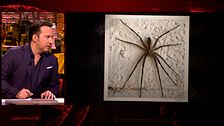 Iker Jiménez lleva a cabo un experimento con una araña