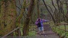 Parque Natural de Garajonay, una joya natural que riega La Gomera