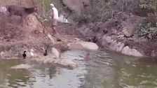 Las imágenes del brutal ataque de un ciervo a Frank Cuesta mientras emitía un vídeo en directo