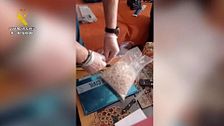 Accedemos al alijo del ‘cura traficante’: básculas de precisión, unas 8.400 dosis y dinero en efectivo