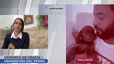 Exclusiva | Hablamos con la mujer que vendió el perro de María del Monte a su sobrino: "Vino a recogerlo 6 días antes del robo"