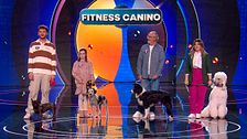 ¿Adivinas cuál de estos desconocidos hace fitness canino? Pilar no se arriesga y pierde parte de su premio