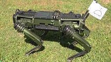 Con GPS y multitud de cámaras integradas para dirigirlo de forma remota: así es el perro robot que es capaz de pastorear