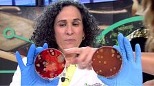 Bacterias peligrosas en las fundas del móvil: analizamos cada uno de los microbios encontrados en directo