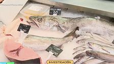 Crecen en España los pescados contaminados: ¿en qué nos debemos fijar para identificarlos?