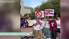 ¿Quién está detrás del movimiento 'Los pájaros no existen'?: hablamos con uno de sus miembros