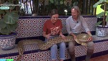 Una serpiente se traga a una mujer de 45 años: un experto explica cómo ha podido suceder