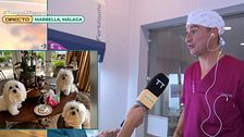 Una clínica de Málaga ya clona mascotas: cómo es el proceso y cuál es su precio
