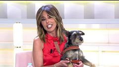 El emotivo momento de Ana Terradillos y su perro Trufa en el plató: "¡Hola, mi vida!"