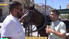 Piden cambiar lo coches de caballos de Sevilla por eléctricos: “Lo que tienen que hacer es darnos soluciones”