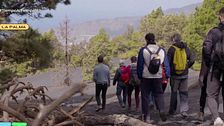 Las cenizas del volcán, motor de innovación en La Palma: así se han regenerado algunos negocios en la isla