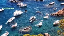 La masificación de barcos en las calas destruye los bosques de Posidonia: "La administración no hace nada"
