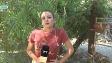 Una reportera de ‘Tiempo al tiempo’, al borde de un ataque de nervios: ¿Se meterá en una jaula junto a una leona?