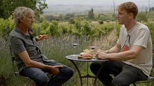 Así es Alaín, el vinicultor más joven de Labastida: "Me he criado aquí, no concibo otra vida fuera del pueblo"
