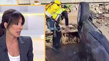 La indignación de Ana Terradillos ante la falta de ayuda a los afectados por la Dana: "En Afganistán la gente tiene comida y agua, aquí no"