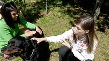 Lola 'Supervivientes' descubre qué piensa su perro Horus gracias a la telepatía: "Lo pasé supermal"