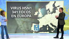 ¿Podría llegar a España la crisis del huevo que ha provocado el desabastecimiento en los supermercados de Estados Unidos?
