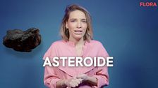 Cuándo, cómo y dónde caería el asteroide