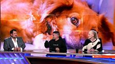 Los veterinarios, en pie de guerra contra nuevo Real Decreto sobre los antibióticos: “Es de lo más absurdo”