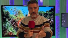 "Montoya es un chapa"