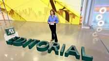 Ana Rosa, sobre el reparto de ayudas por aranceles a Cataluña: "Luego dirán que la política no es un parque de bolas. En España estamos abonados a uno"
