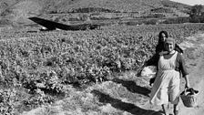 'El día que perdieron la bomba', la crónica sobre las bombas atómicas que cayeron en Palomares, Almería