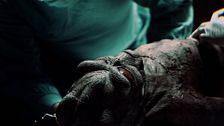 El caso Varginha o el día en el que varios extraterrestres fueron capturados en Brasil
