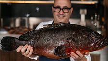 Carlos del Portillo nos da dos pescados, un marisco y una verdura perfectos para hacer a la brasa