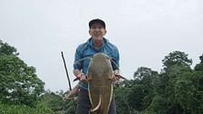Con mucho sufrimiento y de la forma tradicional: así ha pescado Kike Calleja un gran bagre en el Amazonas