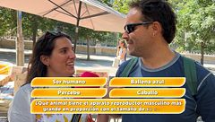 Sacamos "el sillón" a la calle: la gente responde y... ¡acierta!