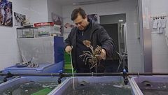 El chef Marcos Román enseña lo bien que se come en Asturias