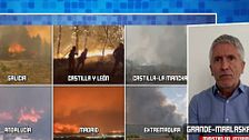 Fernando Grande-Marlaska se defiende de las críticas y explica la acción del Gobierno ante los incendios