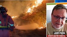 ¿Por qué no dejan de aumentar los incendios en España? Un experto en gestión forestal da las claves