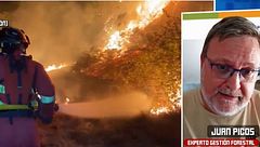 ¿Por qué no dejan de aumentar los incendios en España? Un experto en gestión forestal da las claves