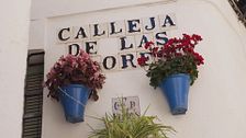 La Calleja de las Flores
