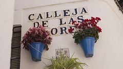 La Calleja de las Flores