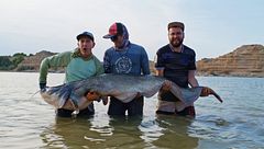 La emoción de Kike Calleja al pescar un siluro gigante en el río Ebro: "Es el pez más grande que he pescado en mi vida"