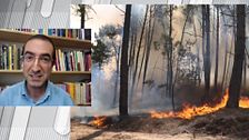 La reacción de un experto a la terapia que asegura paliar los efectos del humo a las víctimas de los incendios: "Son oportunistas"