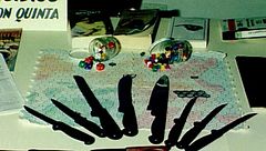 El verdadero (y cruel) móvil del asesino del crimen del rol: Javier Rosado escribió en un diario su plan premeditado