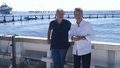 P19 - El atún rojo de acuicultura muestra en Cartagena su modelo sostenible y la excelencia gastronómica que atesora