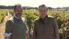 P21 - De vendimia por La Rivera del Duero