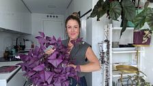 Cocinas bonitas con plantas: desmontando los mitos de la estética que vemos en Internet