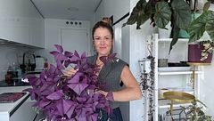 Cocinas bonitas con plantas: desmontando los mitos de la estética que vemos en Internet