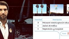 Una señal de tráfico, dos palmeras y la rotonda destrozada: El dinero que tendrá que pagar Cayetano Rivera