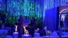 La navidad llega a la casa de 'Gran Hermano 20': así ha sido el mágico encendido de la casa de Tres Cantos